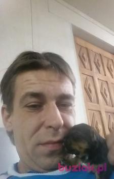 Adam, Mężczyzna, 42, Elbląg, Polska, Zdjęcie: 2
