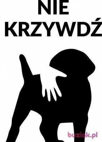 Łukasz, Mężczyzna, 42, Gdańsk, Polska, Zdjęcie: 3
