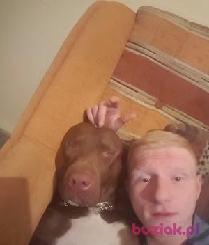 Sebastian, Mężczyzna, 33, Bielsko-Biała, Polska, Zdjęcie: 2