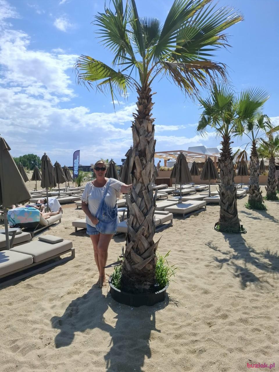 Sylwia, Kobieta, 53, Dąbrowa Górnicza, Polska, Zdjęcie: 5
