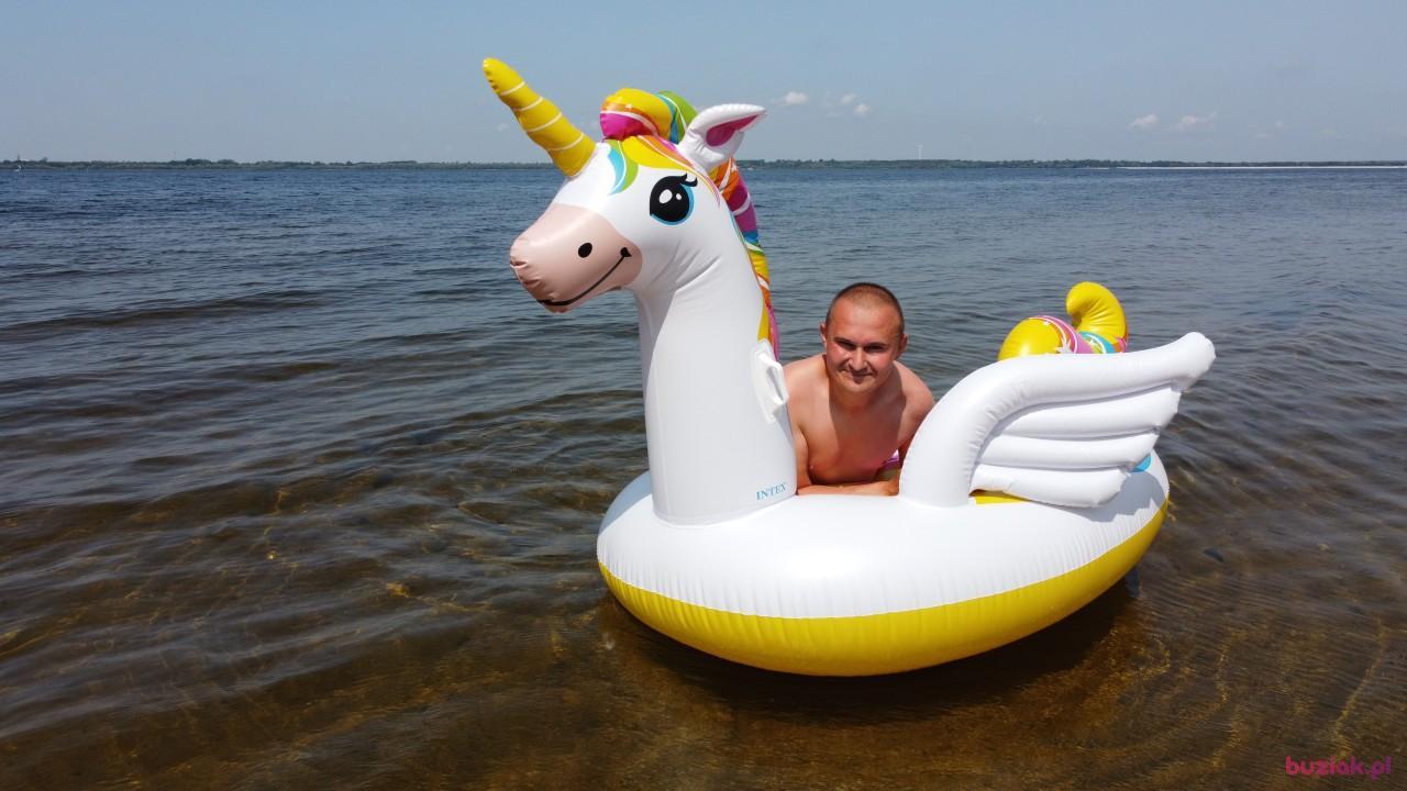 Michał, Male, 37, Zgierz, Polska, Photo: 430