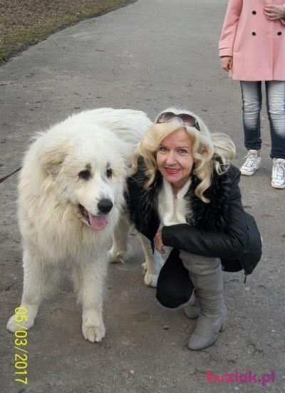 magda, Kobieta, 68, Tarnów, Polska, Zdjęcie: 8