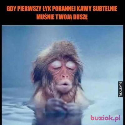 Daniel, Mężczyzna, 60, Wielka Brytania, Zdjęcie: 3