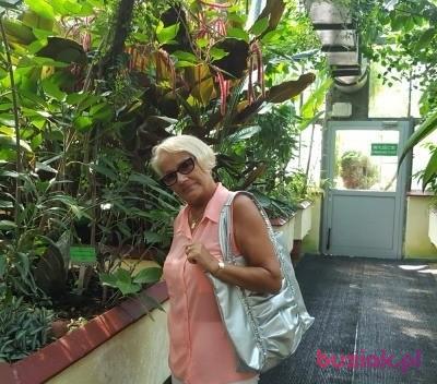 Maria, Kobieta, 77, Nowa Sól, Polska, Zdjęcie: 12