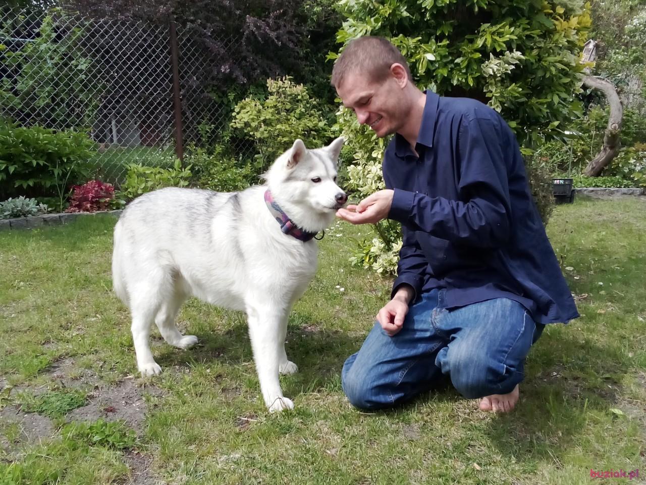 Adam, Mężczyzna, 40, Opole, Polska, Zdjęcie: 5