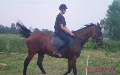 Daniel, Mężczyzna, 31, Pruszcz Gdański, Polska, Zdjęcie: 3
