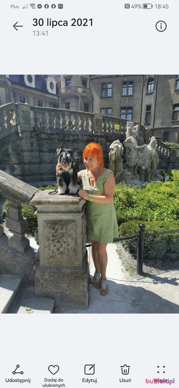 Krystyna, Kobieta, 53, Ostrów Wielkopolski, Polska, Zdjęcie: 2