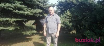 Krzysztof, Mężczyzna, 72, Łódź, Polska, Zdjęcie: 1
