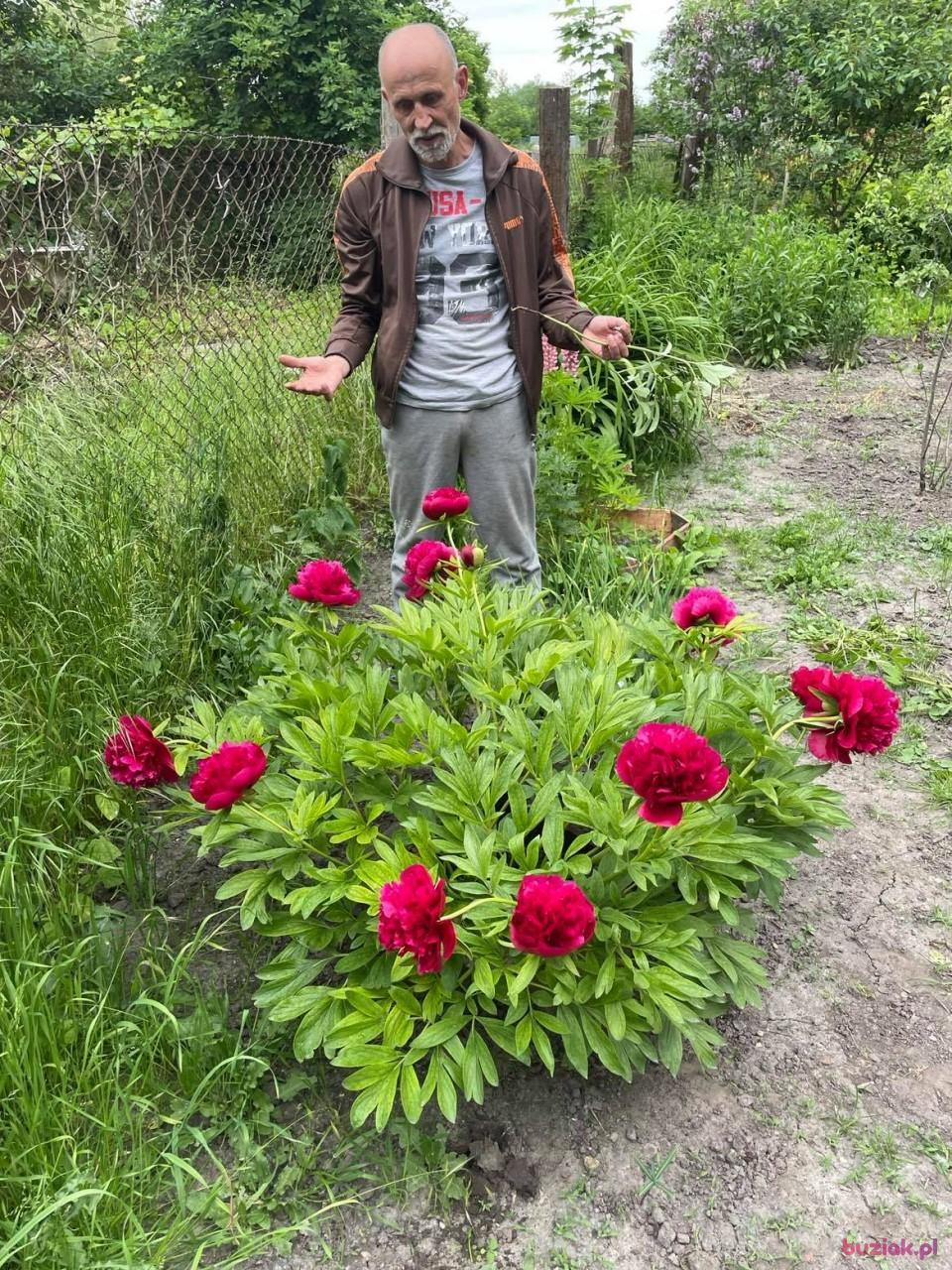 Janek, Male, 63, Głogów, Polska, Photo: 4