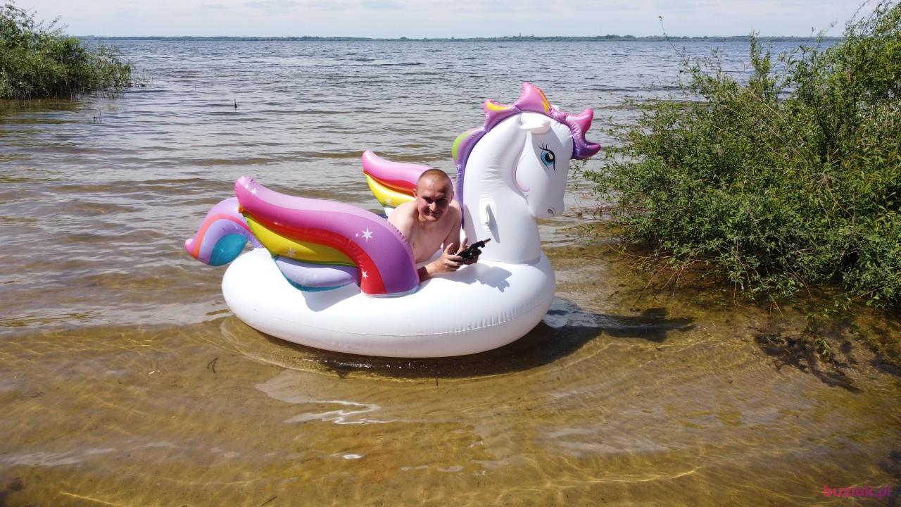 Michał, Male, 37, Zgierz, Polska, Photo: 389