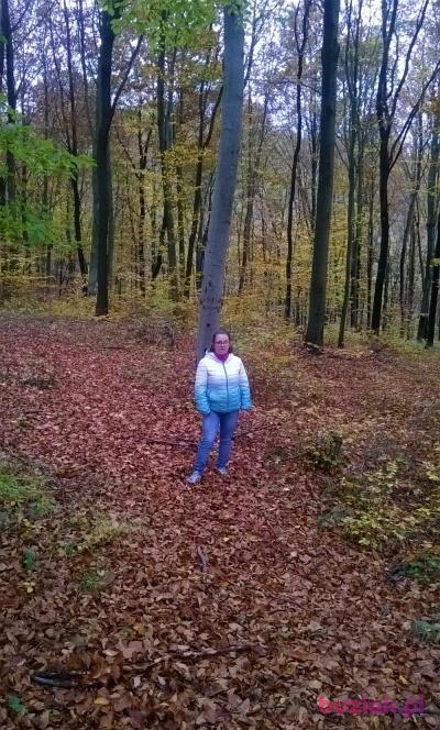 Justyna , Kobieta, 31, Brzozów, Polska, Zdjęcie: 1