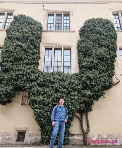 Igor_Rogowski, Mężczyzna, 42, Kraków, Polska, Zdjęcie: 17