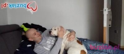 krzysiek, Mężczyzna, 45, Northampton, Wielka Brytania, Zdjęcie: 2