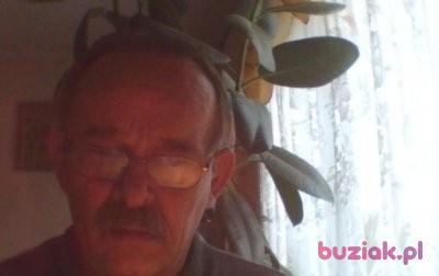 Ryszard, Mężczyzna, 66, Ostrów Wielkopolski, Polska, Zdjęcie: 2