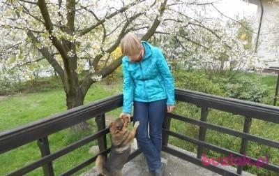 Iwona, Female, 68, Zgierz, Polska, Photo: 2