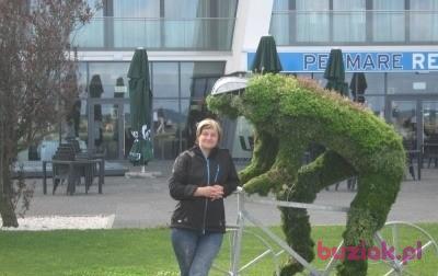 sylwia sylwia, Female, 55, Nowy Sącz, Polska, Photo: 2