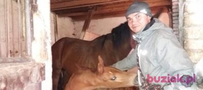 Andrzej, Mężczyzna, 39, Ełk, Polska, Zdjęcie: 2