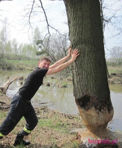 Tomek, Mężczyzna, 52, Oława, Polska, Zdjęcie: 1