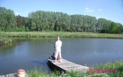 Robert, Mężczyzna, 46, Wielka Brytania, Zdjęcie: 2