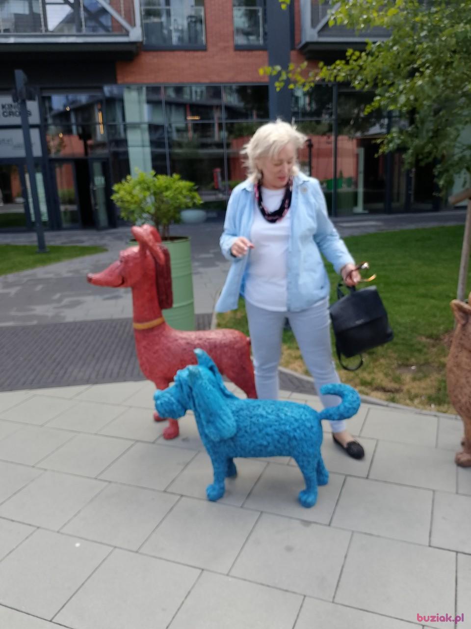 Dana, Kobieta, 68, Warszawa, Polska, Zdjęcie: 2
