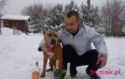JAREK, Mężczyzna, 43, Oborniki Śląskie, Polska, Zdjęcie: 2