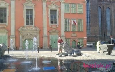 Andrzej, Mężczyzna, 48, Bytom, Polska, Zdjęcie: 2