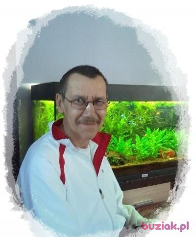 Jan, Mężczyzna, 70, Biskupiec, Polska, Zdjęcie: 4