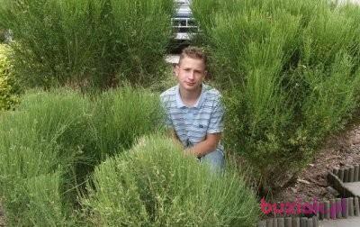 Mateusz, Mężczyzna, 33, Drezdenko, Polska, Zdjęcie: 4