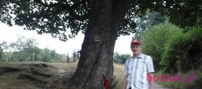Bogdan, Mężczyzna, 59, Polska, Zdjęcie: 3