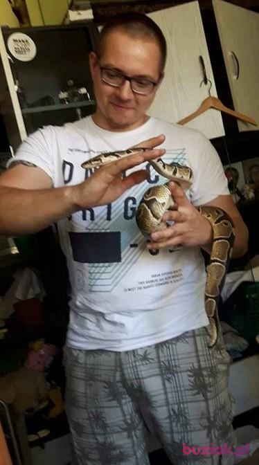 Damian, Mężczyzna, 31, Opole, Polska, Zdjęcie: 2