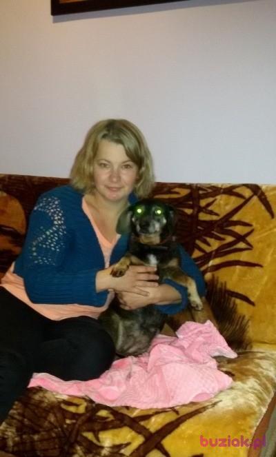 Iwona, Kobieta, 46, Mysłowice, Polska, Zdjęcie: 3