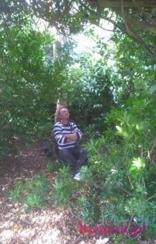 tomek, Mężczyzna, 51, Wielka Brytania, Zdjęcie: 2