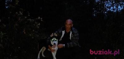 Ryszard, Mężczyzna, 60, Katowice, Polska, Zdjęcie: 3