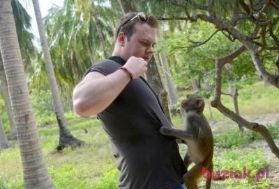 Adam, Male, 41, Westminster, Wielka Brytania, Photo: 2