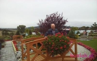 Czesław, Mężczyzna, 65, Świdnica, Polska, Zdjęcie: 5