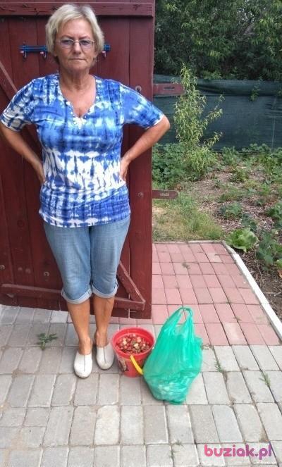 Halina, Kobieta, 65, Brzeg Dolny, Polska, Zdjęcie: 5