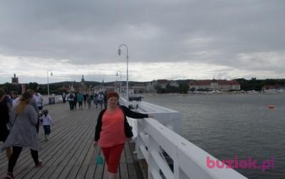 Małgorzata, Kobieta, 54, Mysłowice, Polska, Zdjęcie: 4