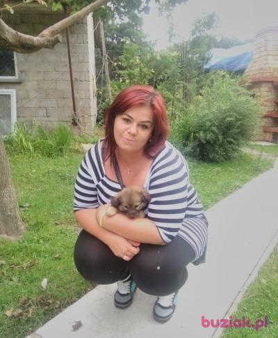 Iza, Kobieta, 39, Ropczyce, Polska, Zdjęcie: 2