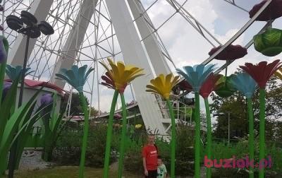 Rafał, Mężczyzna, 40, Bytom, Polska, Zdjęcie: 6