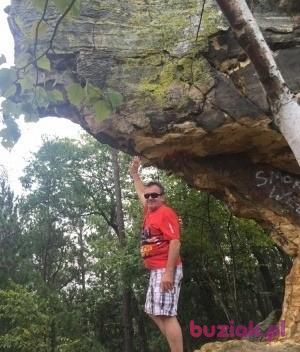 tadek5, Mężczyzna, 63, Chicago, USA, Zdjęcie: 3