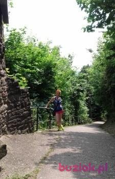 malgorzata, Kobieta, 47, Kłobuck, Polska, Zdjęcie: 2