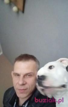Marek, Mężczyzna, 54, Olsztyn, Polska, Zdjęcie: 2