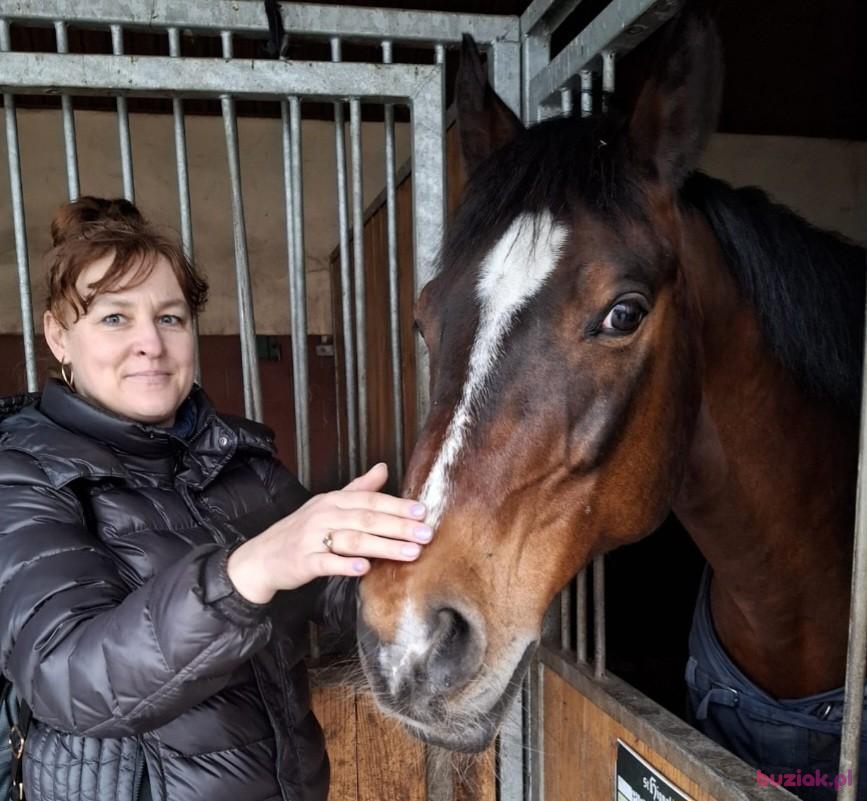 Wiktoria, Kobieta, 54, Chorzów, Polska, Zdjęcie: 2