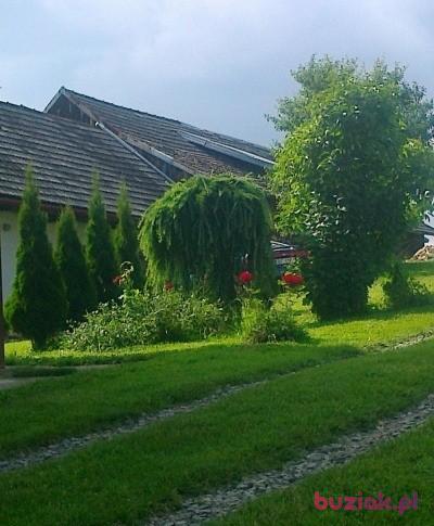 wlodek, Mężczyzna, 52, Bochnia, Polska, Zdjęcie: 2
