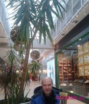 Mariusz, Mężczyzna, 44, Dębica, Polska, Zdjęcie: 2