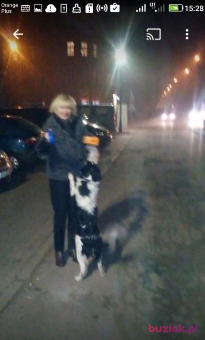 Gracja, Kobieta, 60, Opole, Polska, Zdjęcie: 2