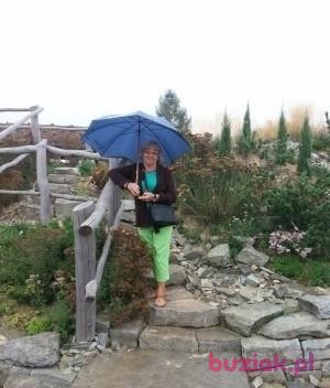Halina, Kobieta, 81, Mikołów, Polska, Zdjęcie: 5