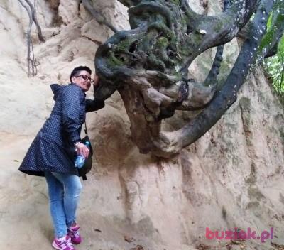 Magda, Kobieta, 49, Poznań, Polska, Zdjęcie: 5