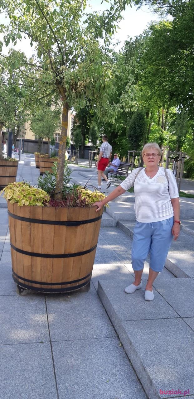 HENIA, Kobieta, 72, Wodzisław Śląski, Polska, Zdjęcie: 3