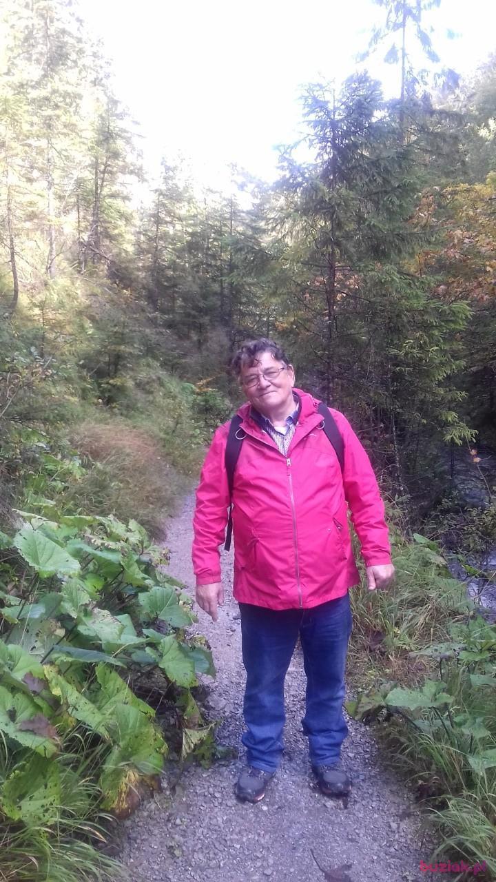 Leszek, Mężczyzna, 74, Gdańsk, Polska, Zdjęcie: 4